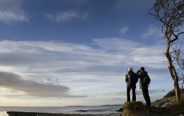 Jenny Browns Point Credit Tony West