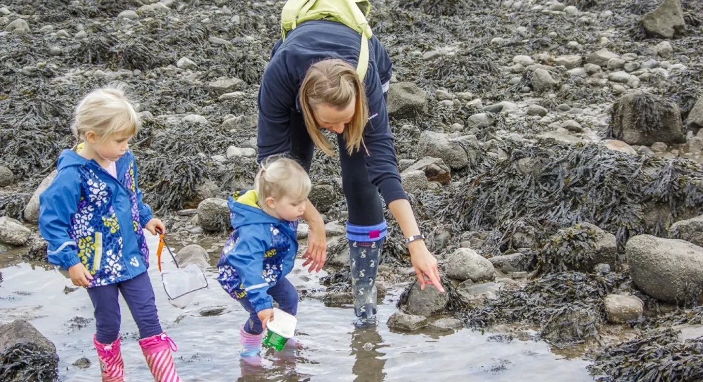 An adult and children by the shore